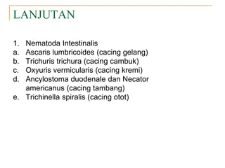LANJUTAN
1. Nematoda Intestinalis
a. Ascaris lumbricoides (cacing gelang)
b. Trichuris trichura (cacing cambuk)
c. Oxyuris vermicularis (cacing kremi)
d. Ancylostoma duodenale dan Necator
americanus (cacing tambang)
e. Trichinella spiralis (cacing otot)
 