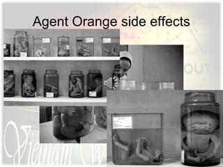 Agent Orange side effects
 