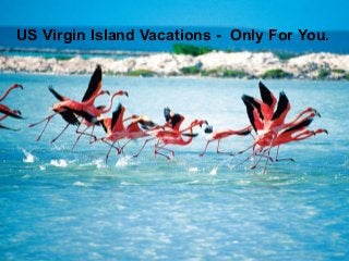 US Virgin Island Vacations - Only For You.
 