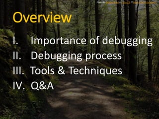 Overview
I. Importance of debugging
II. Debugging process
III. Tools & Techniques
IV. Q&A
Photo by Roman Boed // cc by 2.0 // https://flic.kr/p/ngwcf1
 