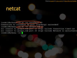 netcat
Photo by Joseph B // cc by-nc-nd 2.0 // https://flic.kr/p/7GAMBe
 