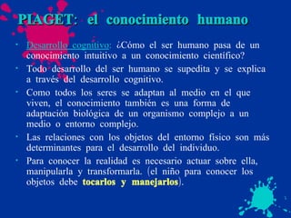 PIAGET: el conocimiento humano Desarrollo cognitivo :  ¿Cómo el ser humano pasa de un conocimiento intuitivo a un conocimiento científico? Todo desarrollo del ser humano se supedita y se explica a través del desarrollo cognitivo. Como todos los seres se adaptan al medio en el que viven, el conocimiento también es una forma de adaptación biológica de un organismo complejo a un medio o entorno complejo. Las relaciones con los objetos del entorno físico son más determinantes para el desarrollo del individuo. Para conocer la realidad es necesario actuar sobre ella, manipularla y transformarla. (el niño para conocer los objetos debe  tocarlos y manejarlos ).  