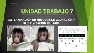 UNIDAD TRABAJO 7
DETERMINACIÓN DE MÉTODOS DE CLONACIÓN Y
SECUENCIACIÓN DEL ADN.
REV.04/05/19 V.1
 