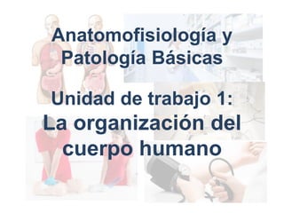 Unidad de trabajo 1:
La organización del
cuerpo humano
Anatomofisiología y
Patología Básicas
 
