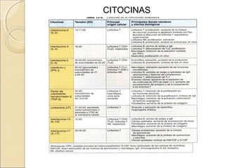 CITOCINAS
 