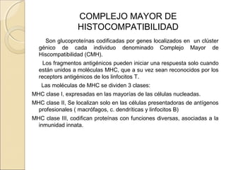 COMPLEJO MAYOR DE
HISTOCOMPATIBILIDAD
Son glucoproteínas codificadas por genes localizados en un clúster
génico de cada individuo denominado Complejo Mayor de
Hiscompatibilidad (CMH).
Los fragmentos antigénicos pueden iniciar una respuesta solo cuando
están unidos a moléculas MHC, que a su vez sean reconocidos por los
receptors antigénicos de los linfocitos T.
Las moléculas de MHC se dividen 3 clases:
MHC clase I, expresadas en las mayorías de las células nucleadas.
MHC clase II, Se localizan solo en las células presentadoras de antígenos
profesionales ( macrófagos, c. dendríticas y linfocitos B)
MHC clase III, codifican proteínas con funciones diversas, asociadas a la
inmunidad innata.
 