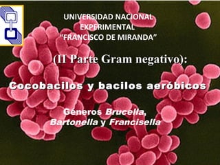 UNIVERSIDAD NACIONAL
EXPERIMENTAL
“FRANCISCO DE MIRANDA”
(II Parte Gram negativo):(II Parte Gram negativo):
Cocobacilos y bacilos aeróbicosCocobacilos y bacilos aeróbicos
Géneros Brucella,
Bartonella y Francisella
 