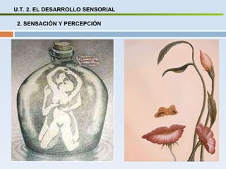U.T. 2. EL DESARROLLO SENSORIAL 2. SENSACIÓN Y PERCEPCIÓN 