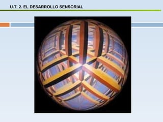 U.T. 2. EL DESARROLLO SENSORIAL 