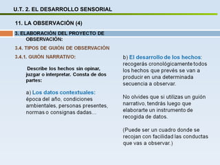 U.T. 2. EL DESARROLLO SENSORIAL 11. LA OBSERVACIÓN (4) 