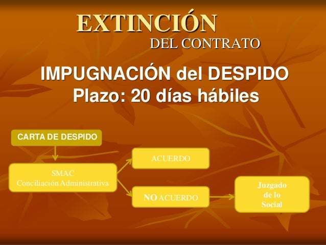 Ut 4 extincion despido Ut 4 extincion despido