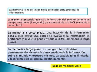 La memoria tiene distintos tipos de niveles para procesar la
información:
La memoria sensorial: registra la información del exterior durante un
tiempo muy breve (1 segundo) para transmitirla a la MCP (memoria a
corto plazo).
La memoria a corto plazo: una fracción de la información
pasa a esta estructura, donde se evalúa si la información es
pertinente y si vale la pena enviarla a la MLP (memoria a largo
plazo).
La memoria a largo plazo: es una gran base de datos
permanente donde estaría almacenada toda la información
sobre el mundo y nosotros mismos. La capacidad es ilimitada
y la información se guarda indefinidamente.
Juego de memoria: video
 