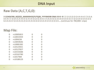 DNA Input
Raw Data (A,C,T,G,0):
3 123456789_RZZZZ2_XXXXXXH3Q7U7Q2B_YYYY84598-DNA 0 0 0 -9 C C G G G G G G A A A A C C G G A
AAACCGGGGAAGGGAAAGGAGAACCAAAAGGAAAGGGGGCCGGAAGGGGGG
G A A A A C G A A A A G A G A A A A G G G G G G A G G G G G G G … (continues for 700,000+ snips)

Map File:
0
0
0
0
0
0
0
0
0
0
0

11

rs10005853
rs10015934
rs1004236
rs10059646
rs10085382
rs10123921
rs10127827
rs10155688
rs10162780
rs1017484
rs10188129

0
0
0
0
0
0
0
0
0
0
0

0
0
0
0
0
0
0
0
0
0
0

 