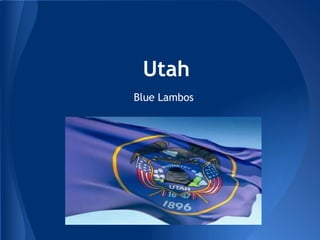Utah
Blue Lambos
 