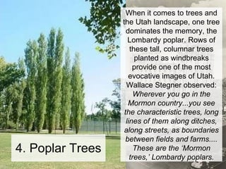 4. Poplar Trees When it comes to trees and the Utah landscape, one tree dominates the memory, the Lombardy poplar. Rows of these tall, columnar trees planted as windbreaks provide one of the most evocative images of Utah. Wallace Stegner observed: Wherever you go in the Mormon country...you see the characteristic trees, long lines of them along ditches, along streets, as boundaries between fields and farms.... These are the ‘Mormon trees,’ Lombardy poplars. 