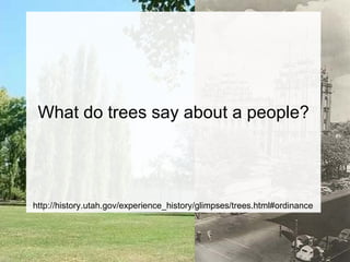 What do trees say about a people? http://history.utah.gov/experience_history/glimpses/trees.html#ordinance 