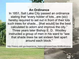 An Ordinance In 1851, Salt Lake City passed an ordinance stating that “every holder of lots...are (sic) hereby required to set out in front of their lots such trees for shade... [that would] be the best calculated to adorn and improve the city.” Three years later Bishop E. D.  Woolley instructed a group of men in his ward to “see that shade trees be set sixteen feet apart around each block.” http://history.utah.gov/experience_history/glimpses/trees.html#ordinance 