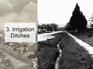 3. Irrigation Ditches 