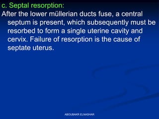 c. Septal resorption:
After the lower müllerian ducts fuse, a central
septum is present, which subsequently must be
resorbed to form a single uterine cavity and
cervix. Failure of resorption is the cause of
septate uterus.
ABOUBAKR ELNASHAR
 