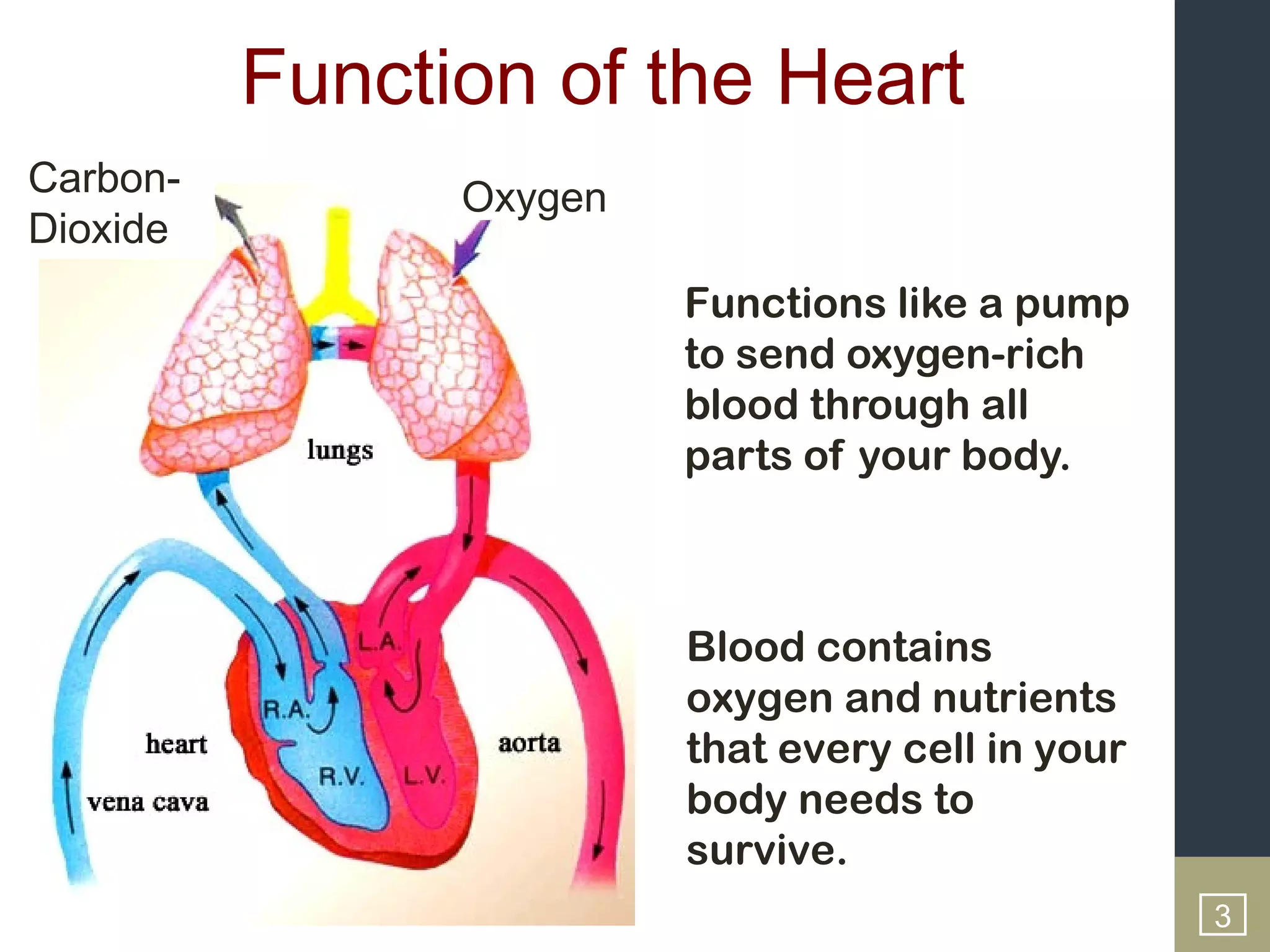 Function of the Heart
Carbon-         Oxygen
Dioxide
                         Functions like a pump
                         to send oxygen-rich
                         blood through all
                         parts of your body.



                         Blood contains
                         oxygen and nutrients
                         that every cell in your
                         body needs to             3
                         survive.
                                                   3
 