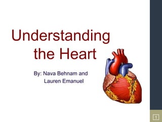 Understanding
  the Heart
  By: Nava Behnam and
      Lauren Emanuel




                        1
 
