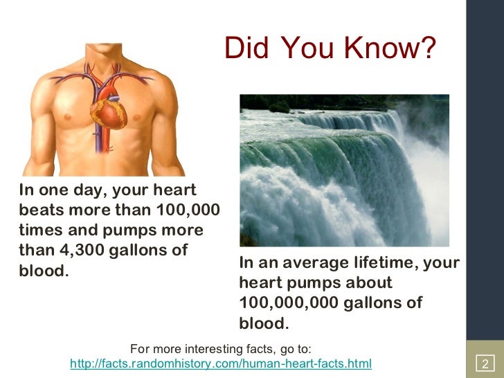UTAP-The Human Heart