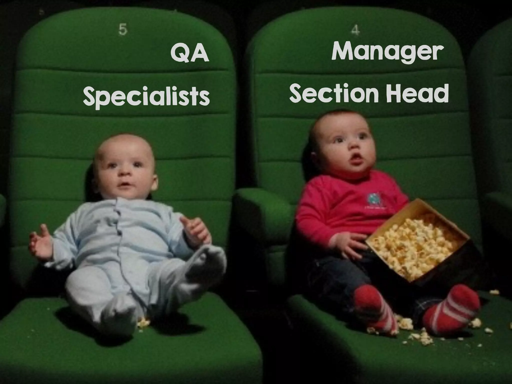QA
Specialists
Manager
Section Head
 