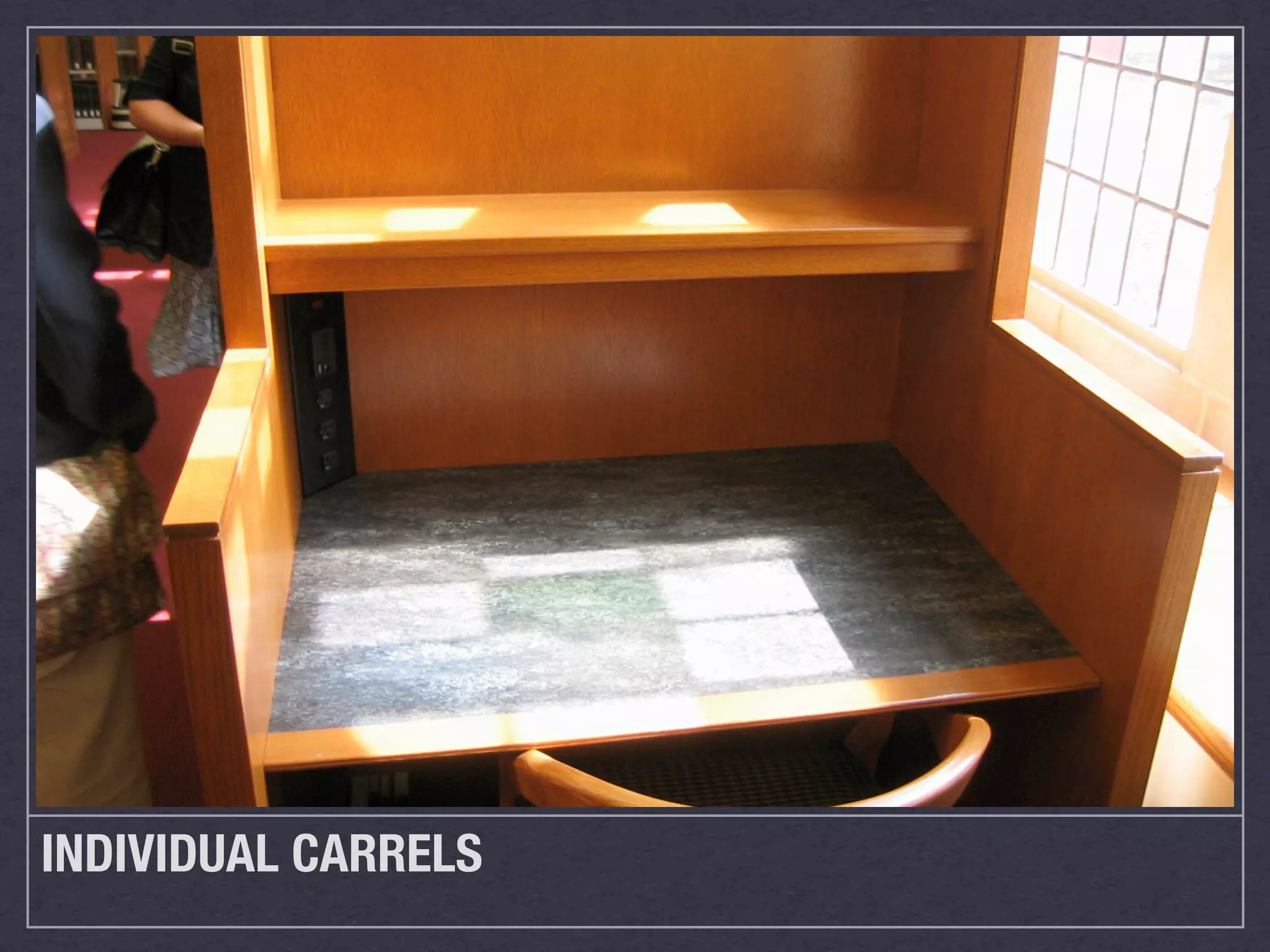 INDIVIDUAL CARRELS
 