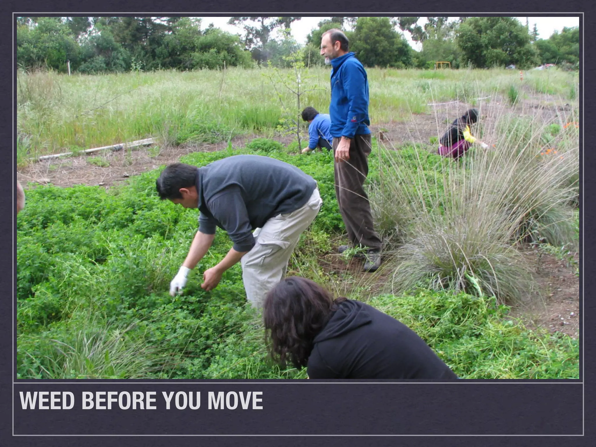 WEED BEFORE YOU MOVE
 