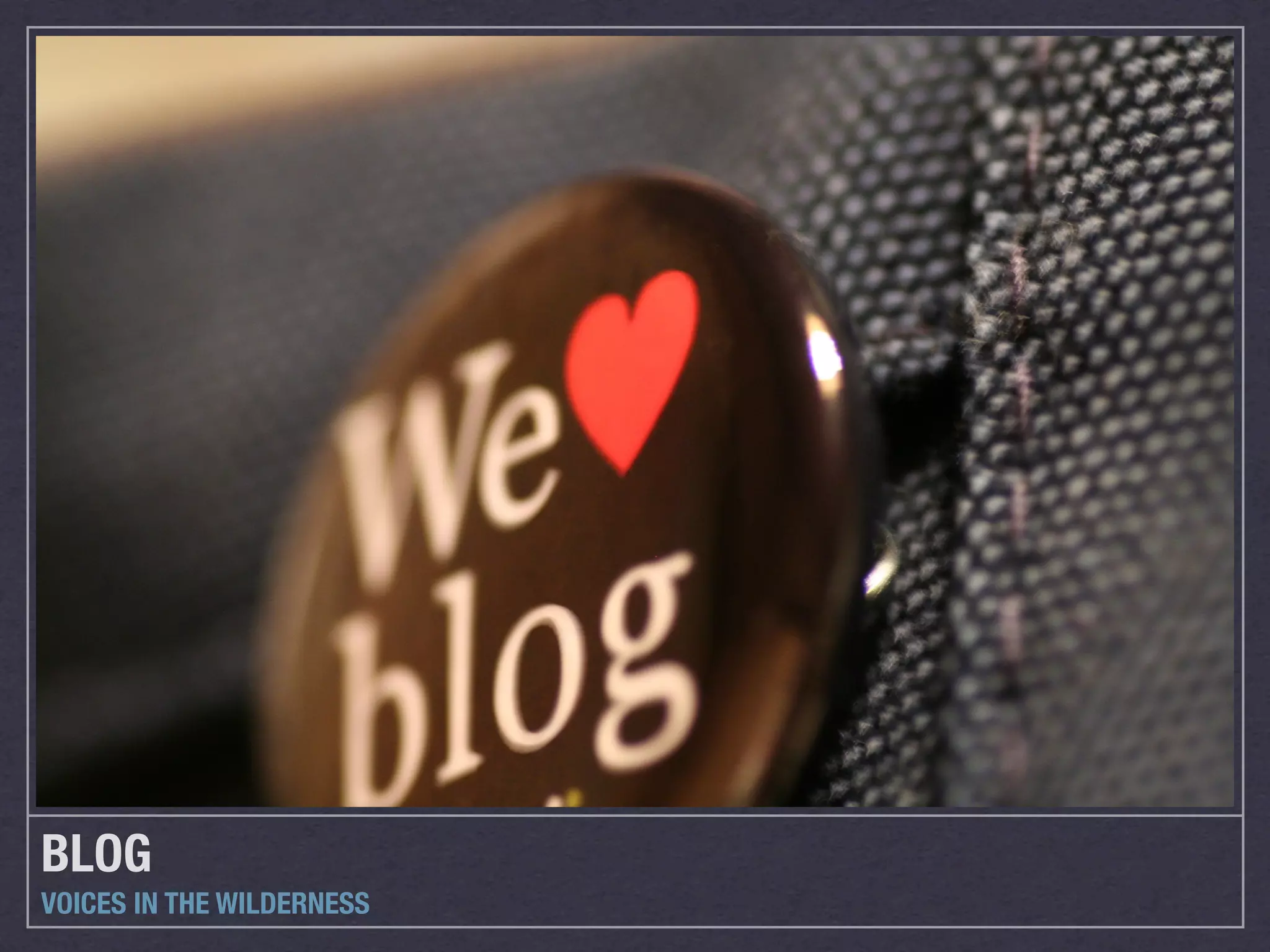 BLOG
VOICES IN THE WILDERNESS
 