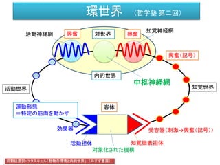 環世界 （哲学塾 第二回）
効果器 受容器（刺激→興奮（記号））
客体
活動神経網
知覚神経網
前野佳彦訳・ユクスキュル「動物の環境と内的世界」 （みすず書房）
知覚世界活動世界
知覚微表担体
対象化された機構
活動担体
内的世界
興奮（記号）
興奮興奮
運動形態
＝特定の筋肉を動かす
中枢神経網
対世界
 