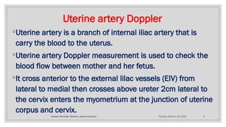 Uterine and umbilical Doppler Dr. Hossam Ramadan Alkeremy | PPTX