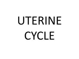 UTERINE
CYCLE
 