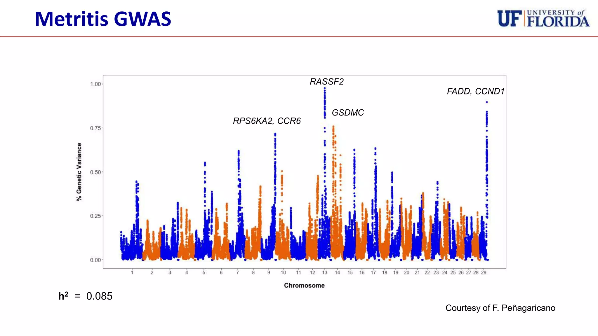 h2 = 0.085
RASSF2
RPS6KA2, CCR6
GSDMC
FADD, CCND1
Courtesy of F. Peñagaricano
Metritis GWAS
 