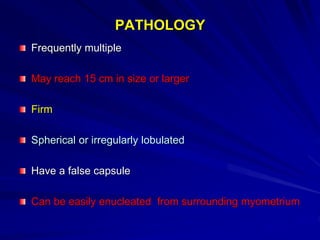 PATHOLOGY
Frequently multiple
May reach 15 cm in size or larger
Firm
Spherical or irregularly lobulated
Have a false capsule
Can be easily enucleated from surrounding myometrium
 