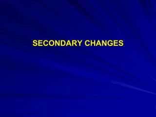 SECONDARY CHANGES
 