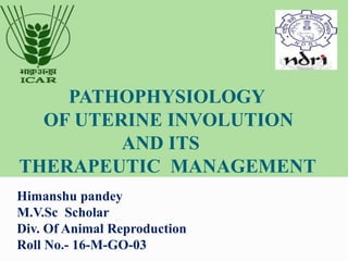 PATHOPHYSIOLOGY
OF UTERINE INVOLUTION
AND ITS
THERAPEUTIC MANAGEMENT
Himanshu pandey
M.V.Sc Scholar
Div. Of Animal Reproduction
Roll No.- 16-M-GO-03
 