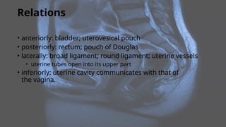 Relations
• anteriorly: bladder; uterovesical pouch
• posteriorly: rectum; pouch of Douglas
• laterally: broad ligament; round ligament; uterine vessels
• uterine tubes open into its upper part
• inferiorly: uterine cavity communicates with that of
the vagina.
 
