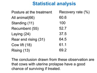 Statistical analysis
Posture at the treatment
All animal(66)
Standing (11)
Recumbent (55)
Laying (24)
Rear end rising (31)
Cow lift (18)
Rising (13)
Recovery rate (%)
60.6
100
52.7
37.5
64.5
61.1
69.2
The conclusion drawn from these observation are
that cows with uterine prolapse have a good
chance of surviving if treated.
 