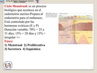 “Curso del Sistema Reproductor Humano:
            Mitos y verdades”


Ciclo Menstrual: es un proceso
biológico que acontece en el
endometrio uterino.Prepara al
endometrio para el embarazo.
Está controlado por las
hormonas ováricas (E y P)
Duración variable: 70% = 25 a
31 días; 15% = 28 días y 15% =
irregular +/-
Fases:
1) Menstrual 2) Proliferativa
3) Secretora 4) Isquémica




                                         23
 