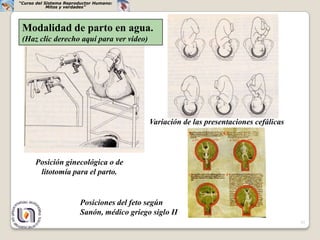 “Curso del Sistema Reproductor Humano:
            Mitos y verdades”




 Modalidad de parto en agua.
 (Haz clic derecho aquí para ver video)




                                            Variación de las presentaciones cefálicas




      Posición ginecológica o de
       litotomía para el parto.


                        Posiciones del feto según
                        Sanón, médico griego siglo II
                                                                                        37
 