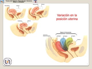 “Curso del Sistema Reproductor Humano:
            Mitos y verdades”




                                         Variación en la
                                         posición uterina




                                                            4
 