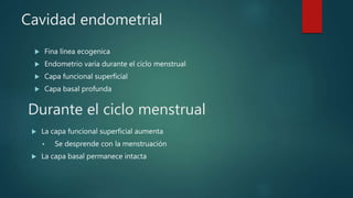 Cavidad endometrial
 Fina línea ecogenica
 Endometrio varia durante el ciclo menstrual
 Capa funcional superficial
 Capa basal profunda
Durante el ciclo menstrual
 La capa funcional superficial aumenta
 Se desprende con la menstruación
 La capa basal permanece intacta
 