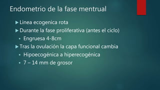 Endometrio de la fase mentrual
 Linea ecogenica rota
 Durante la fase proliferativa (antes el ciclo)
 Engruesa 4-8cm
 Tras la ovulación la capa funcional cambia
 Hipoecogénica a hiperecogénica
 7 – 14 mm de grosor
 