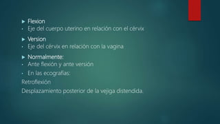  Flexion
• Eje del cuerpo uterino en relación con el cérvix
 Version
• Eje del cérvix en relación con la vagina
 Normalmente:
• Ante flexión y ante versión
• En las ecografías:
Retroflexión
Desplazamiento posterior de la vejiga distendida.
 