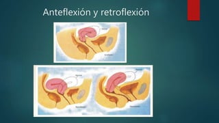 Anteflexión y retroflexión
 