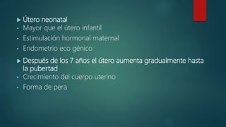  Útero neonatal
• Mayor que el útero infantil
• Estimulación hormonal maternal
• Endometrio eco génico
 Después de los 7 años el útero aumenta gradualmente hasta
la pubertad
• Crecimiento del cuerpo uterino
• Forma de pera
 