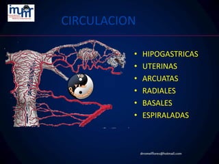 CIRCULACION
• HIPOGASTRICAS
• UTERINAS
• ARCUATAS
• RADIALES
• BASALES
• ESPIRALADAS
 