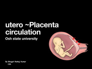 By Bhagat Pankaj Kumar
15A
utero ~Placenta
circulation
Osh state university
 