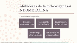 – Efectos adversos neonatales
Simhan, H. N. Et al. UpToDate. Febrero 2020. Inhibition of acute preterm labor. https://www-uptodate-com.pbidi.unam.mx:2443/contents/inhibition-of-acute-preterm-labor
Inhibidores de la ciclooxigenasa:
INDOMETACINA
Displasia
broncopulmonar
Enterocolitis
necrotizante
Leucomalacia
periventricular
Hemorragia
intraventricular
Persistencia de
circulación fetal
 